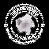 FEADETUTU circular logo with silhouette profile, OYSHA text, and 20-27 Wambai Different Story Together around border